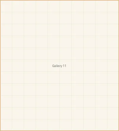 和宠物猫一起窝在沙发上的慵懒时光